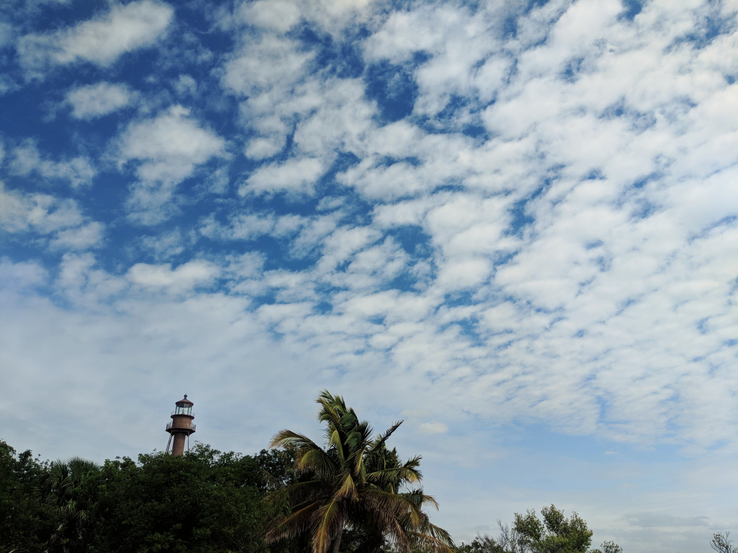 sanibel.jpg