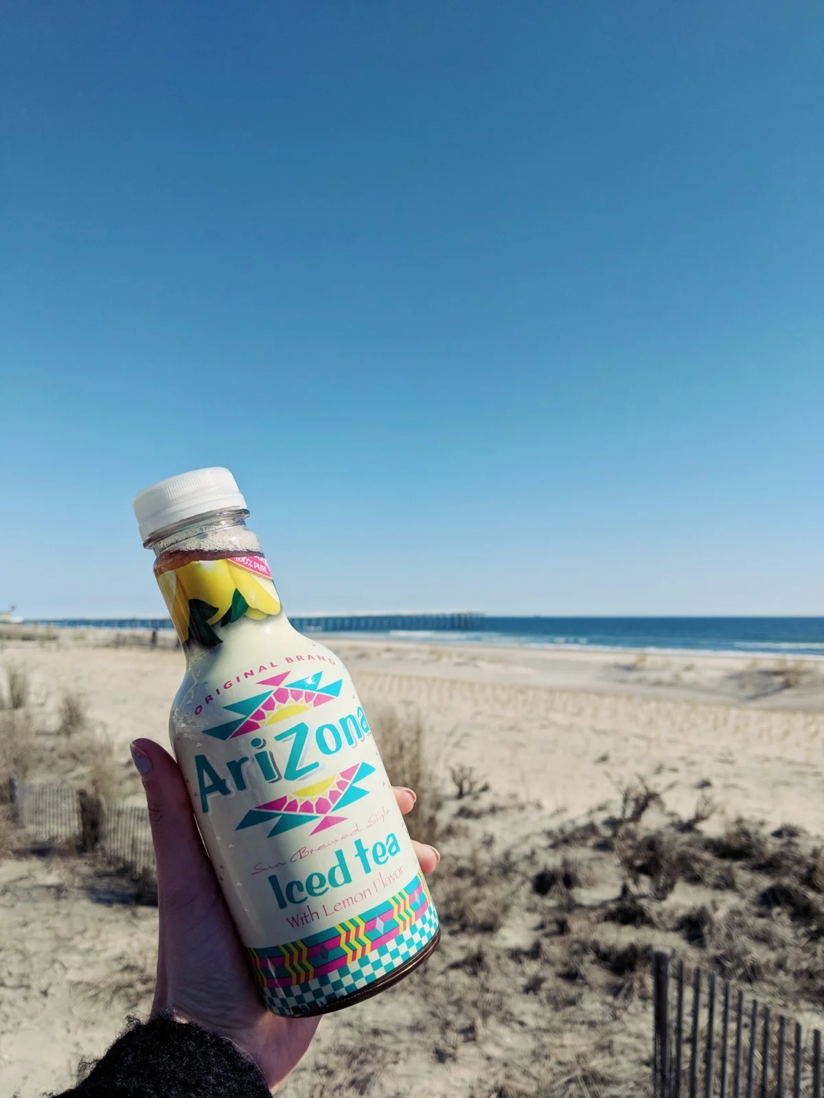 ventnor227.jpg
