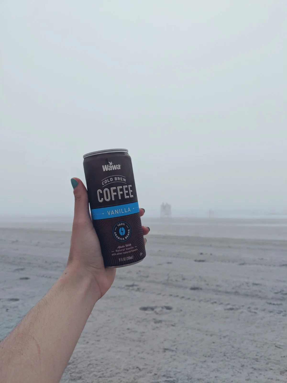 beachday1.jpg