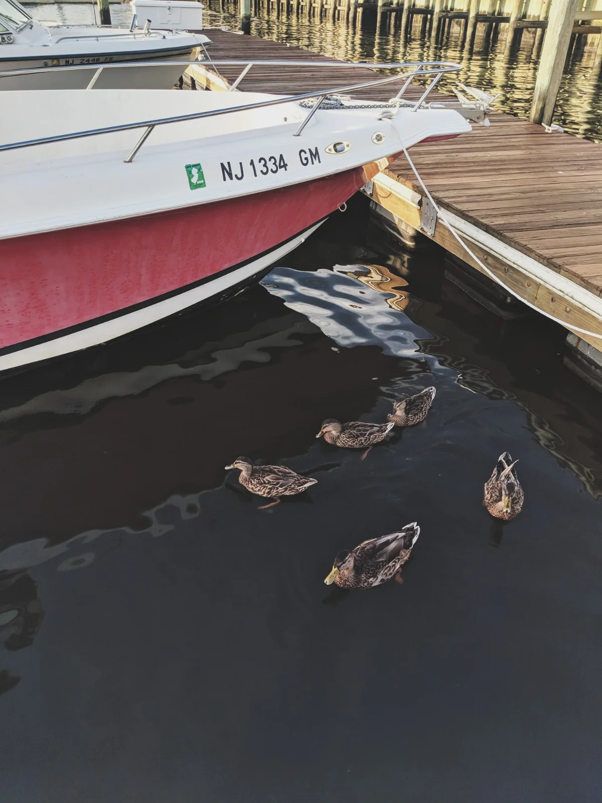 boat3.jpg