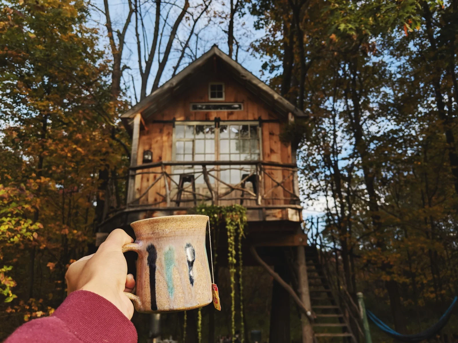 treehouse1.jpg