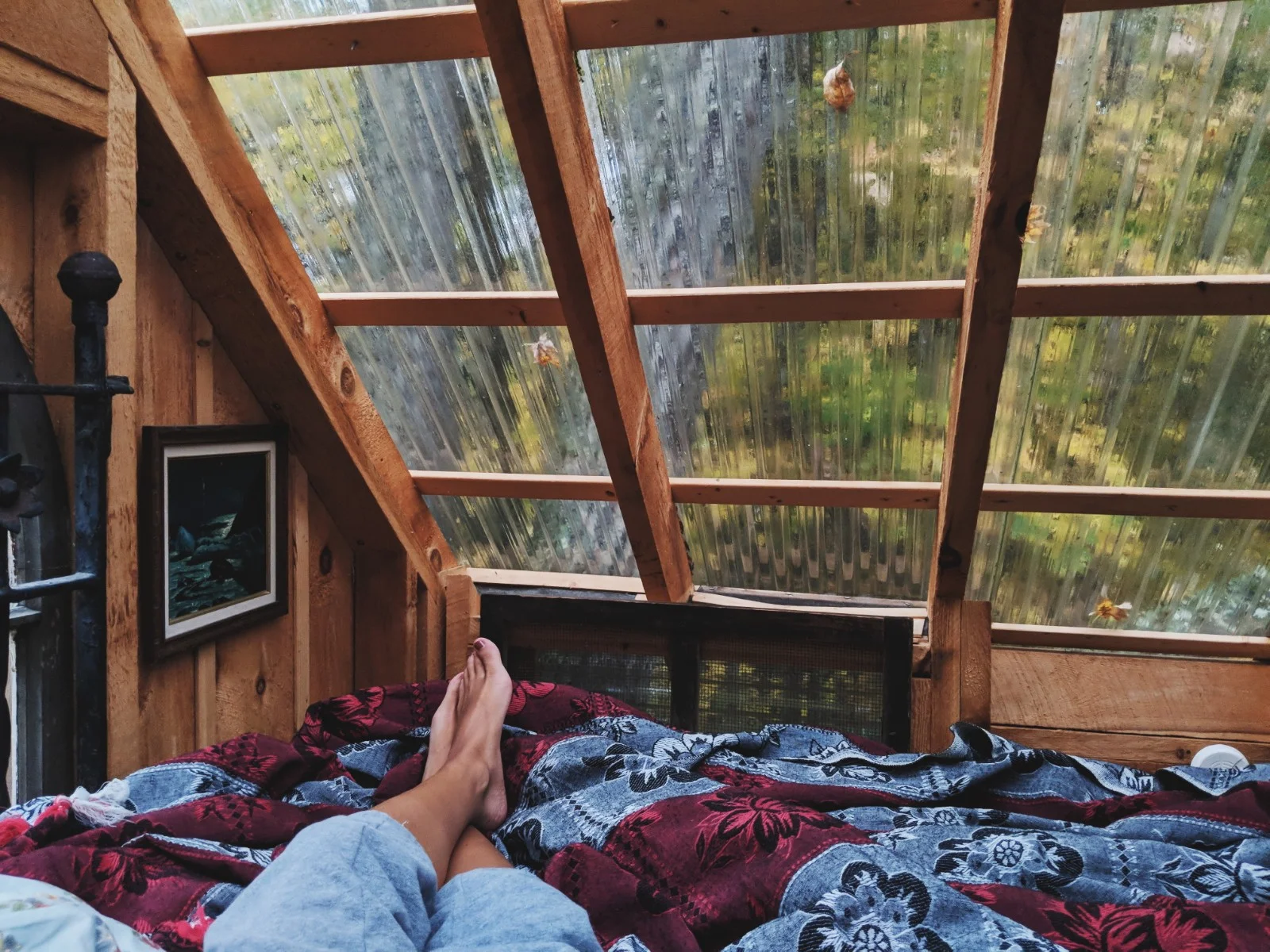 treehouse4.jpg