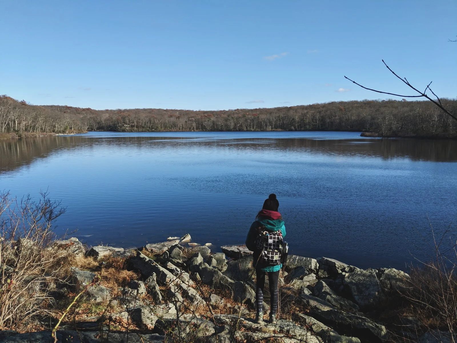 sunfishpond5.jpg