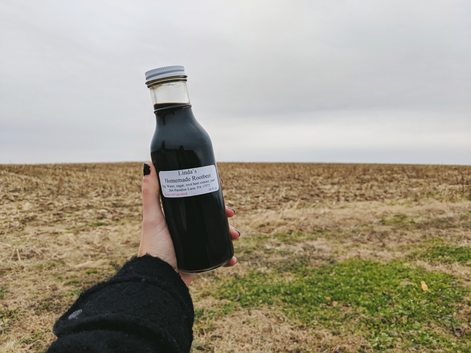 rootbeer1.jpg