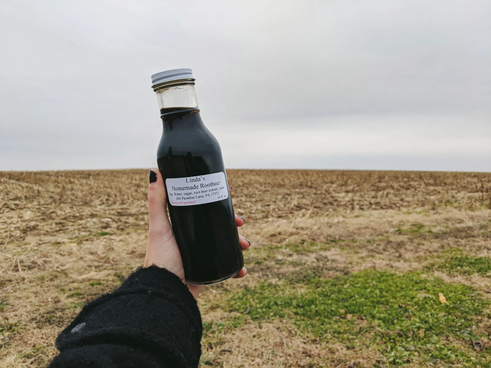 rootbeer1.jpg