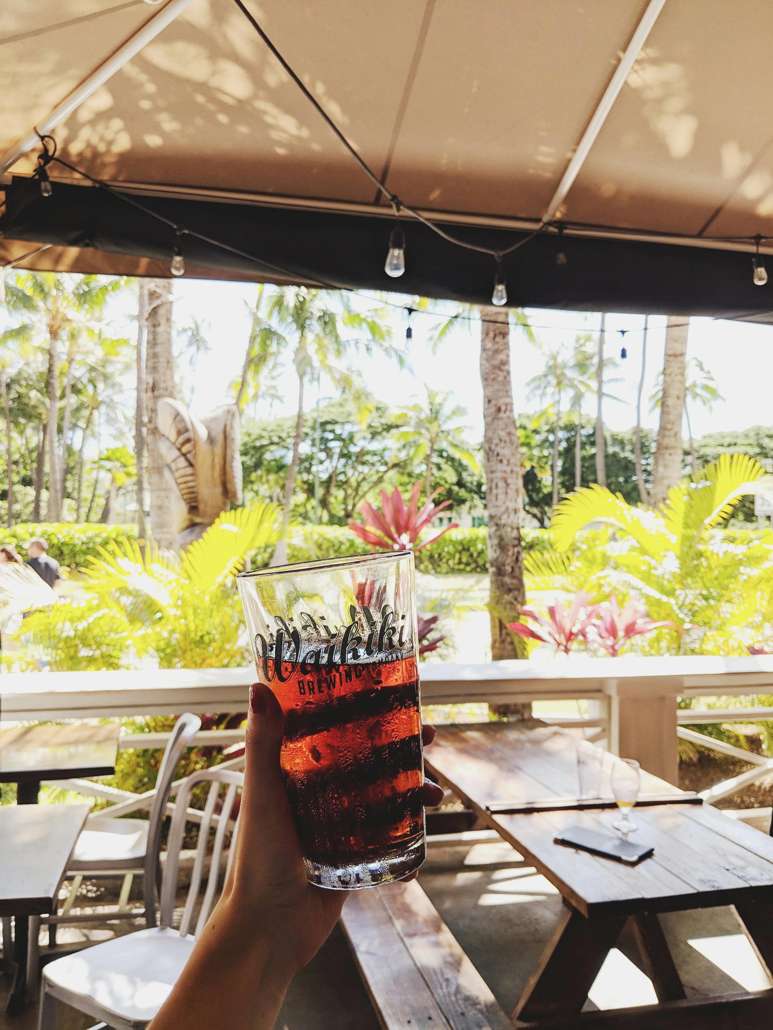waikiki1.jpg