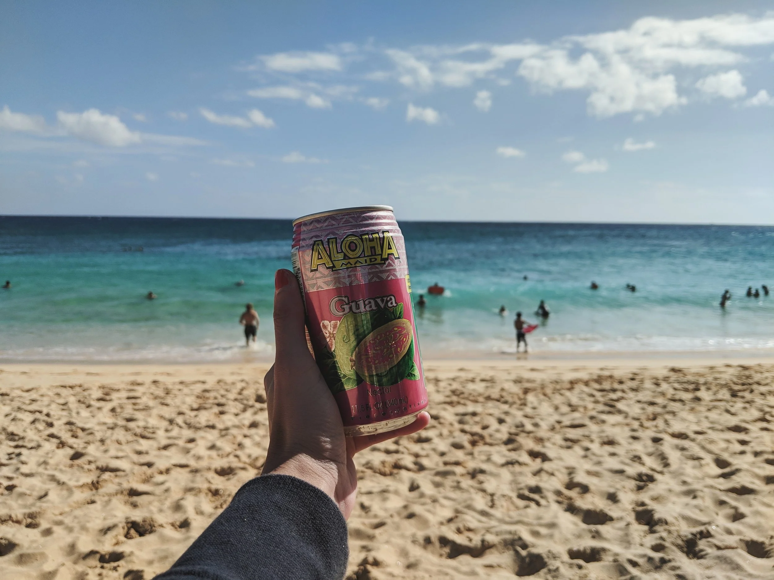 sandy.jpg