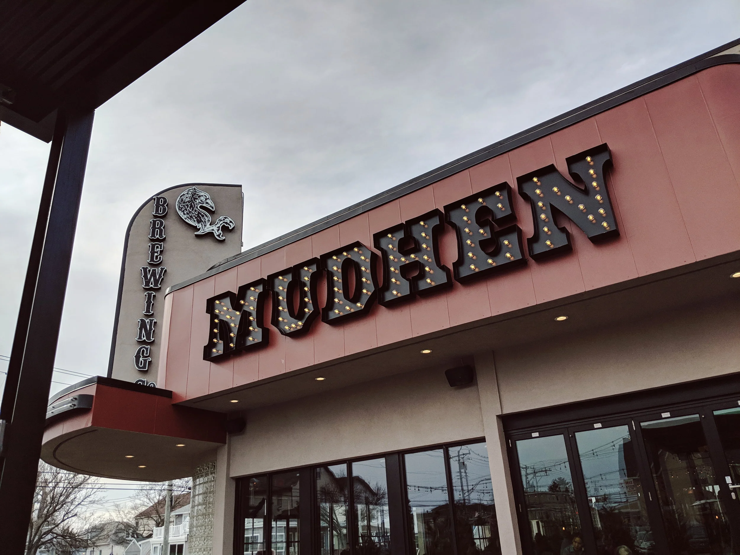 mudhen2.jpg