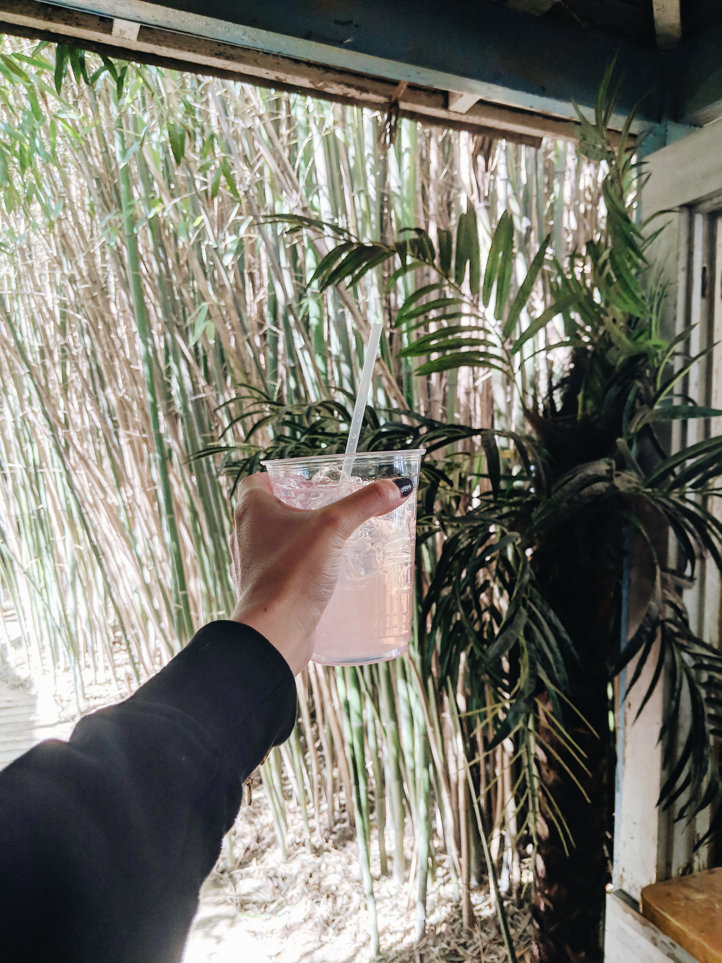 bamboo.jpg