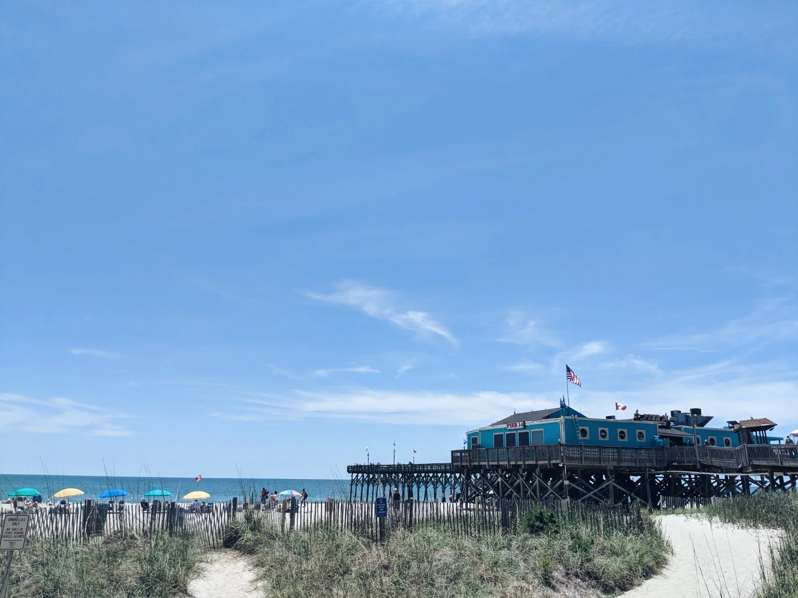 myrtle3.jpg