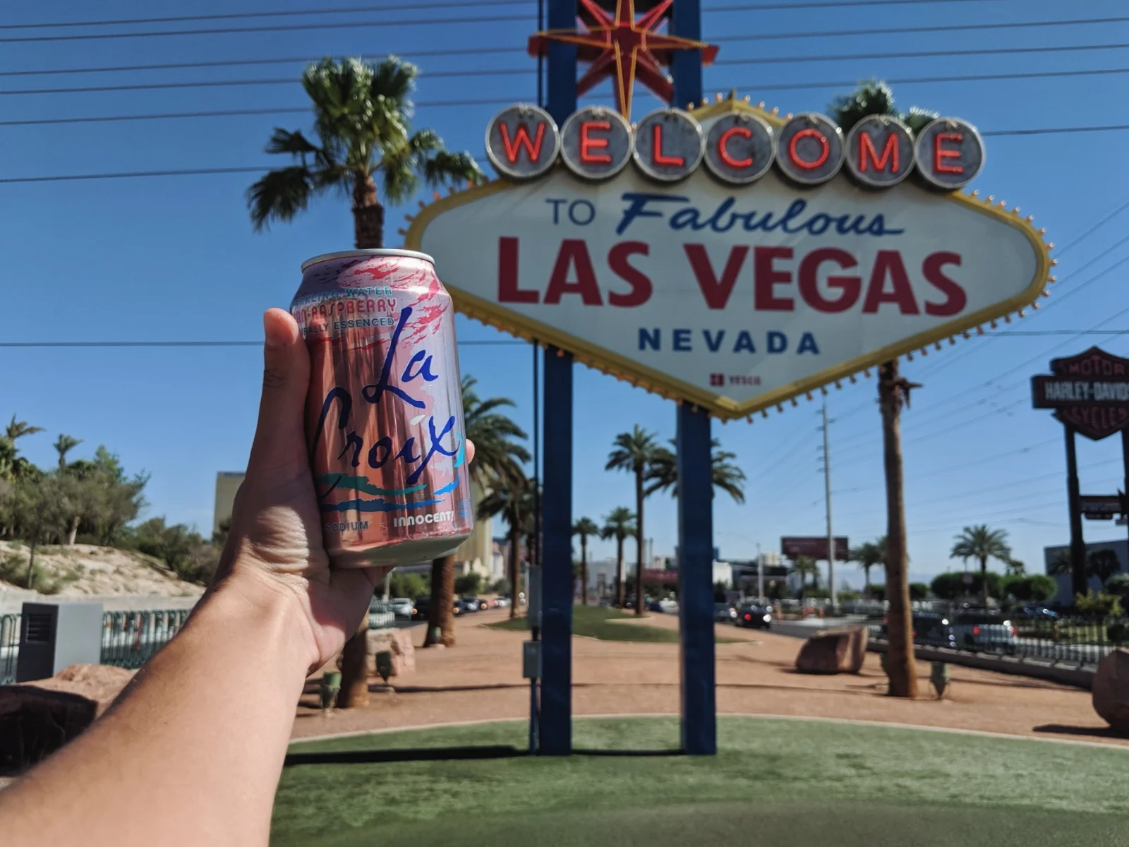 vegas1.jpg