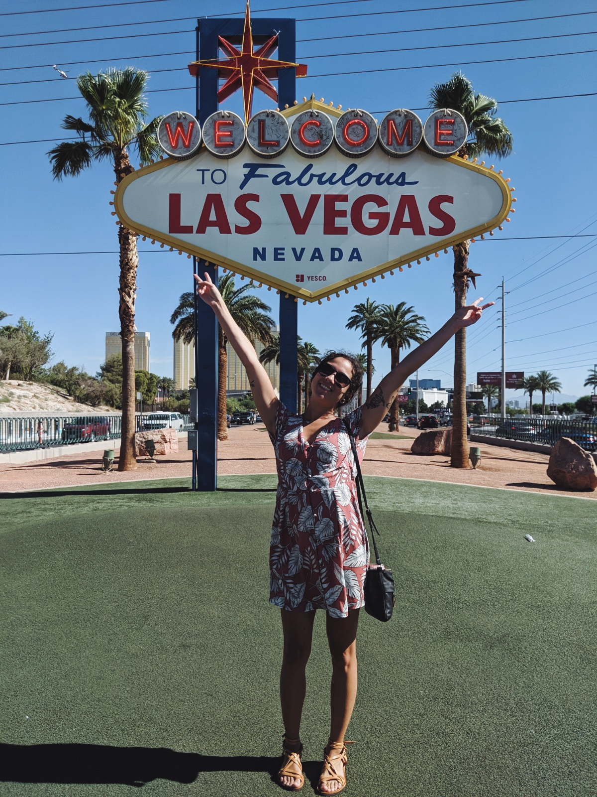 vegas2.jpg