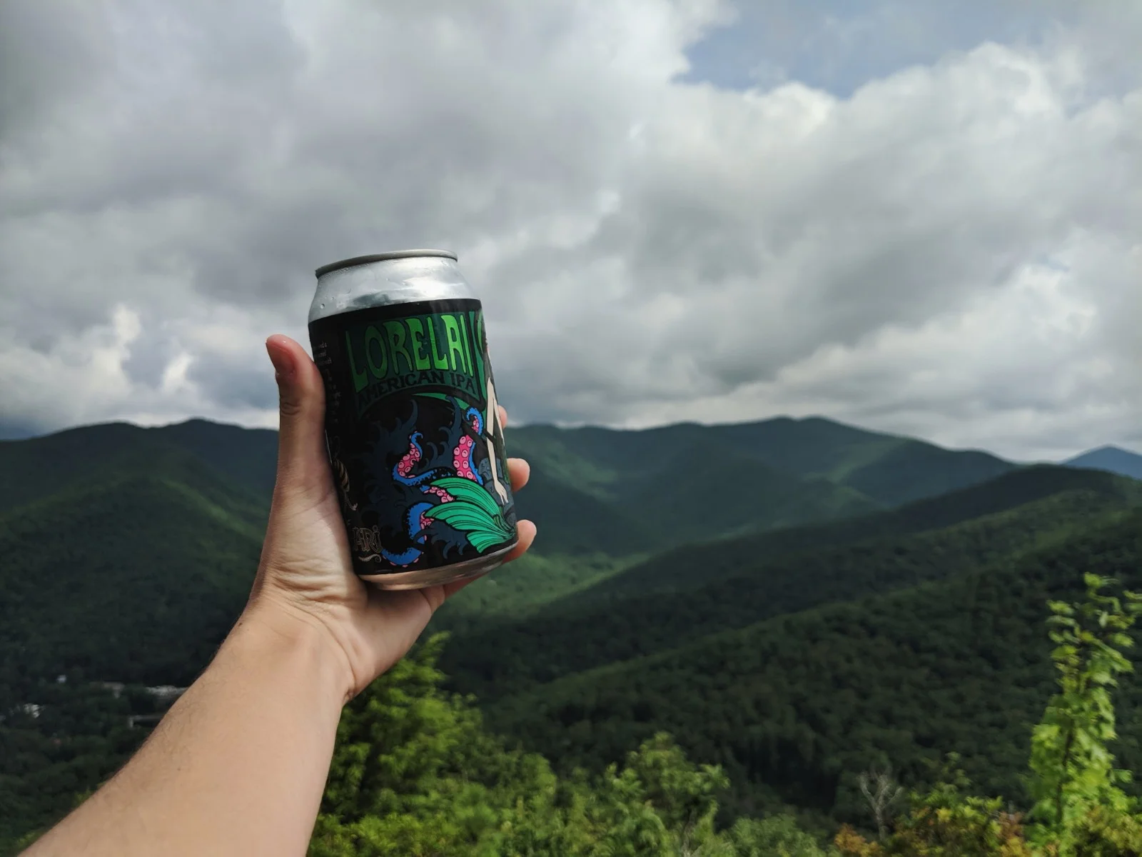 montreat1.jpg