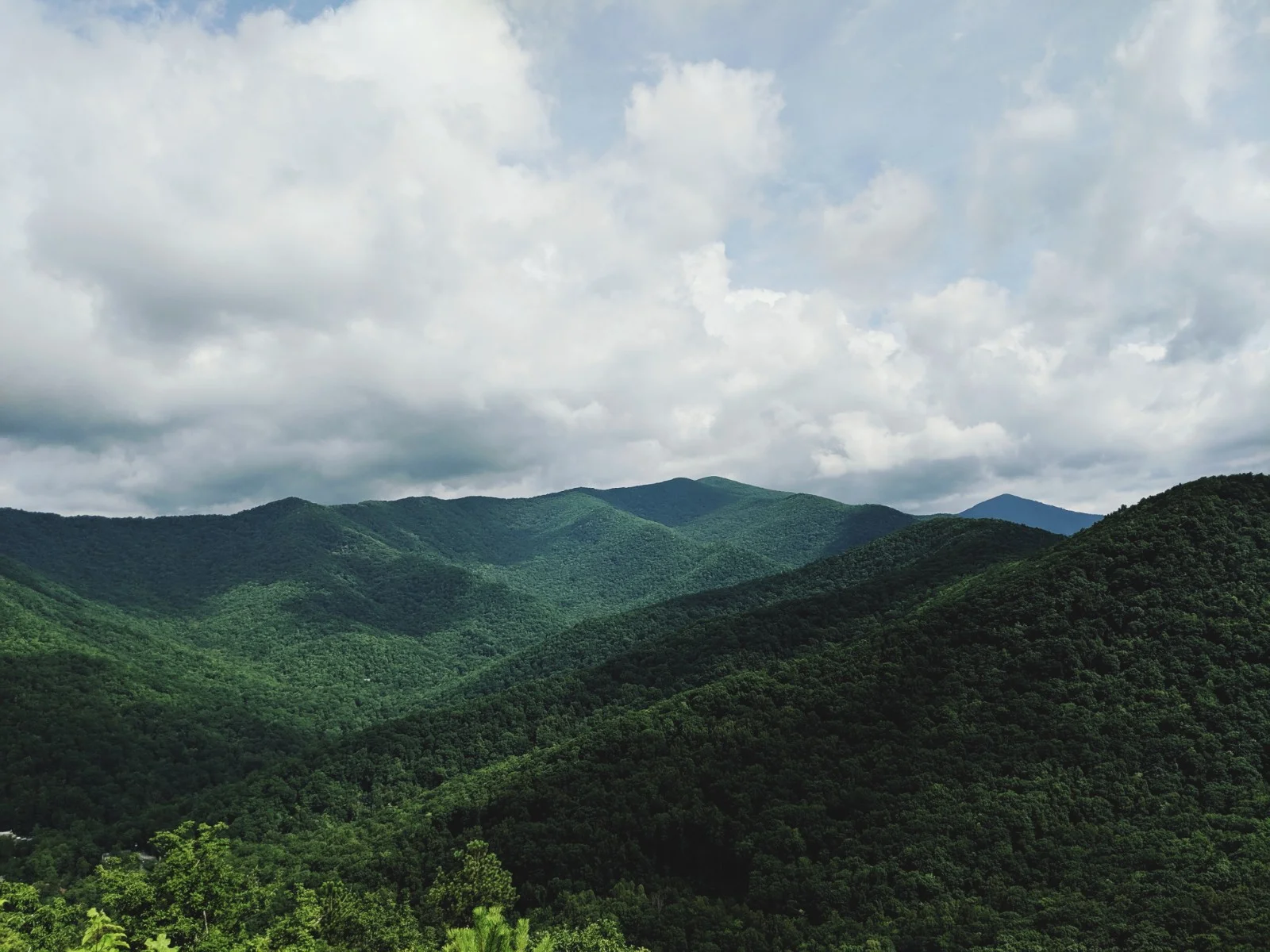 montreat2.jpg