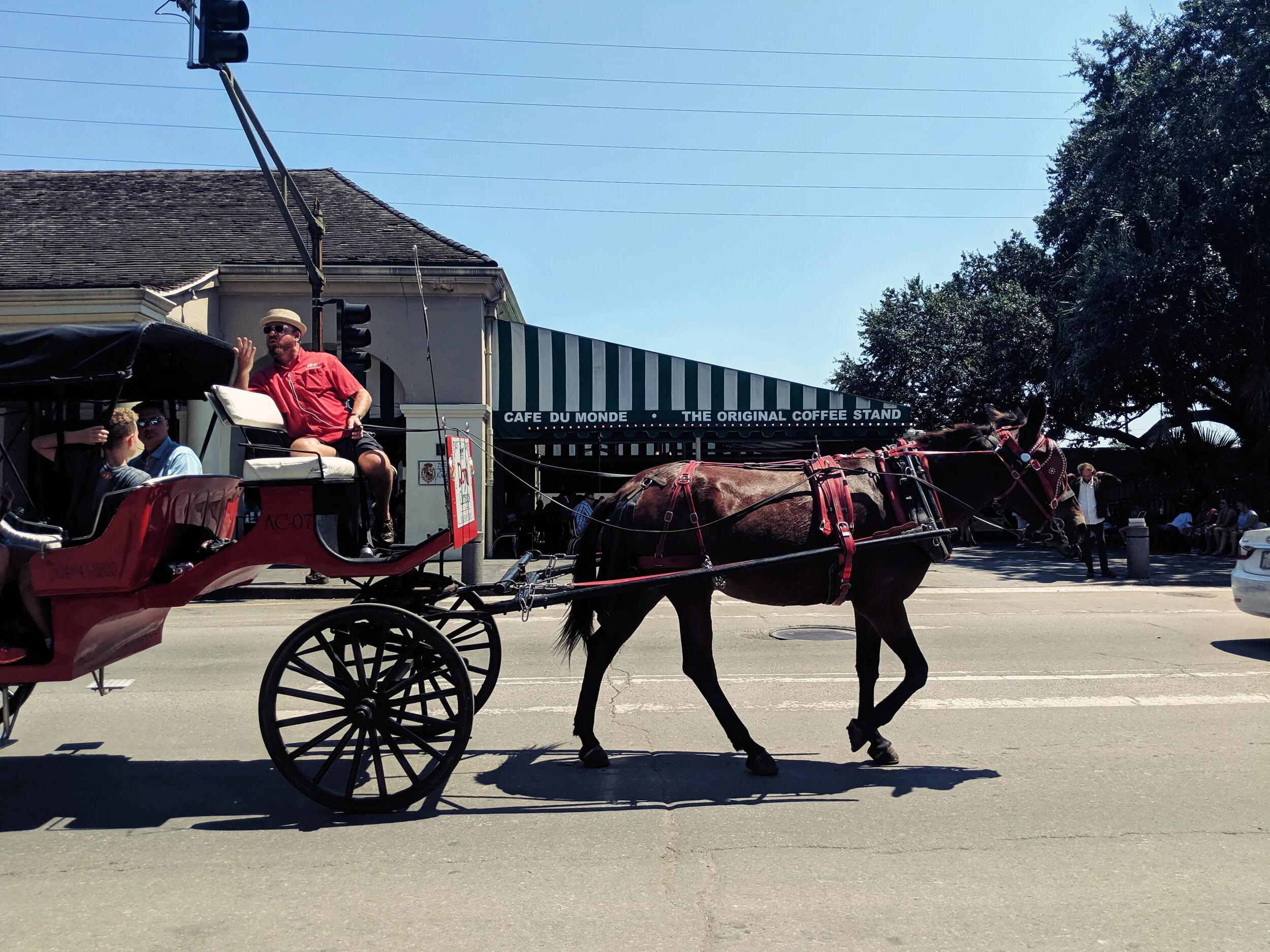 monde2.jpg