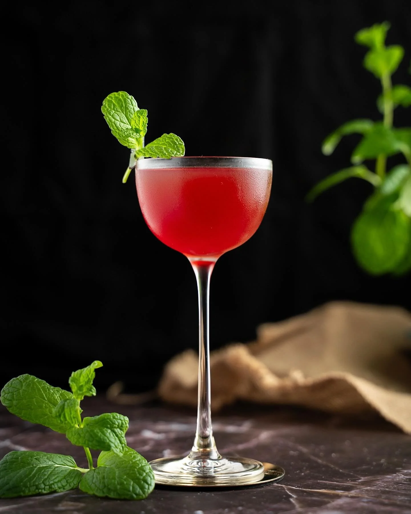 🇧🇪 February Best Photo 🇧🇪
Creator: @servedbysoberon
Drink: Cloverfield
&bull;
- 60ml/2oz Dry Gin
- 30ml/1oz Raspberry-Mint Shrub
- 2 dashes Creole-style Bitters
- - -
HOW: Stir with ice / Strain up / Garnish with mint sprig
&bull;
#homebarawards