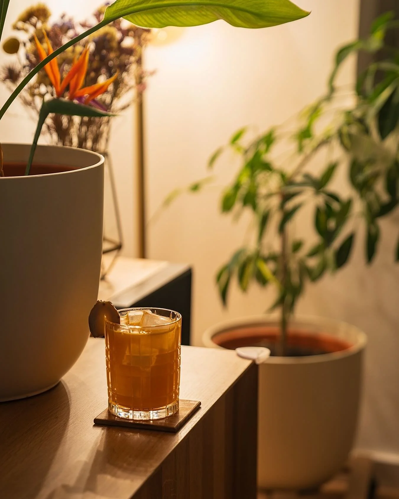 🇳🇱 February Most Innovative 🇳🇱 
Creator: @mjm_augustine
Drink: Like a Drug
&bull;
1 oz By the Dutch Arrak
1 oz Old Duff Genever
&frac14; oz Dwersteg Ginger Liqueur
3 Dashes Homemade Dandelion &amp; Burdock Bitters*
&frac12; oz Carrot Juice
1 oz A