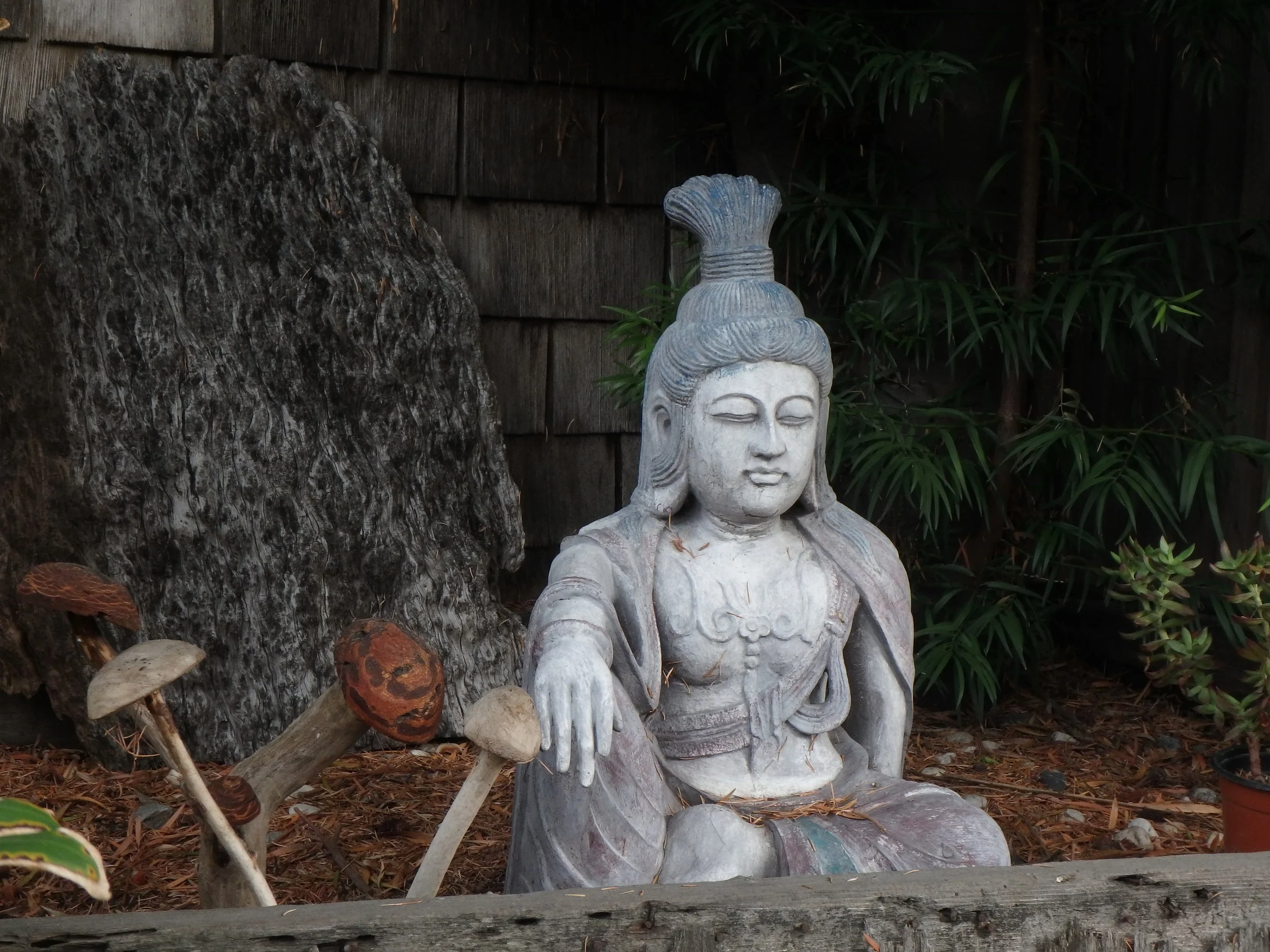  Free Introductory Class to Power of Meditation