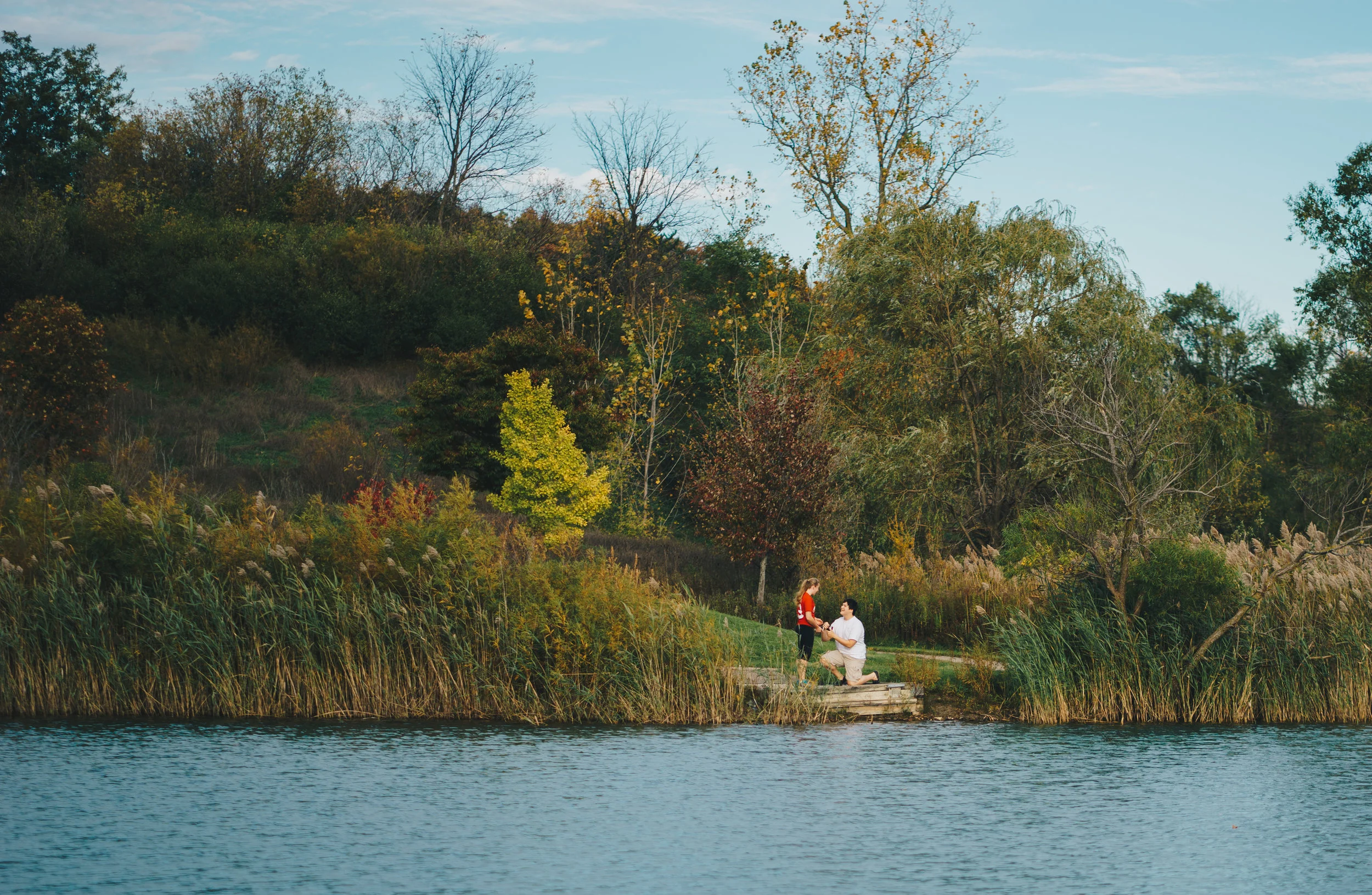 Surprise Engagement!