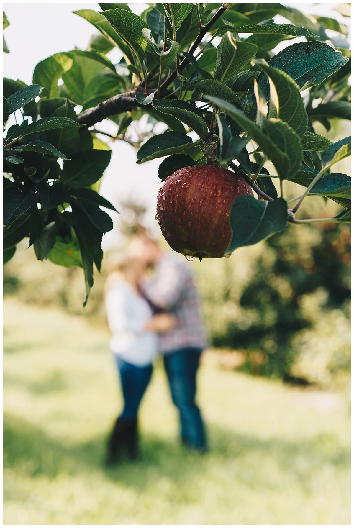 Nashville Wedding Photographer_N&A_Apple Orchard