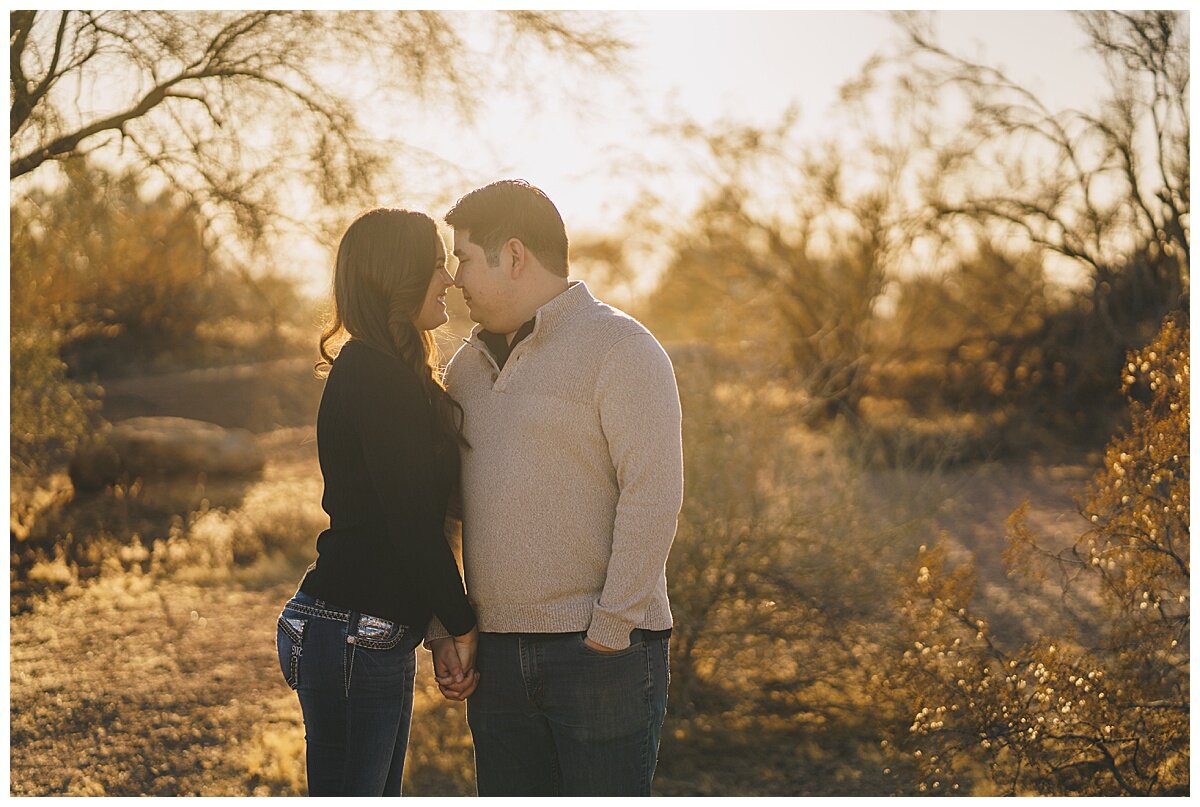 The Perfect Guide for an Engagement Session in Nashville, Tennessee