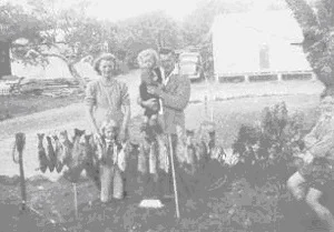 Fishing haul in 1950's