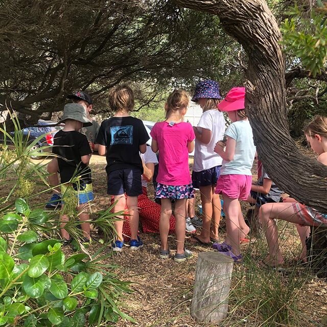 We had such a beautiful day at our garden and exploring event this week... making orange bird feeders, bush painting with plants and flowers, seed and cutting planting and nature orienteering! We love seeing our gorgeous Wynndean family connect with 