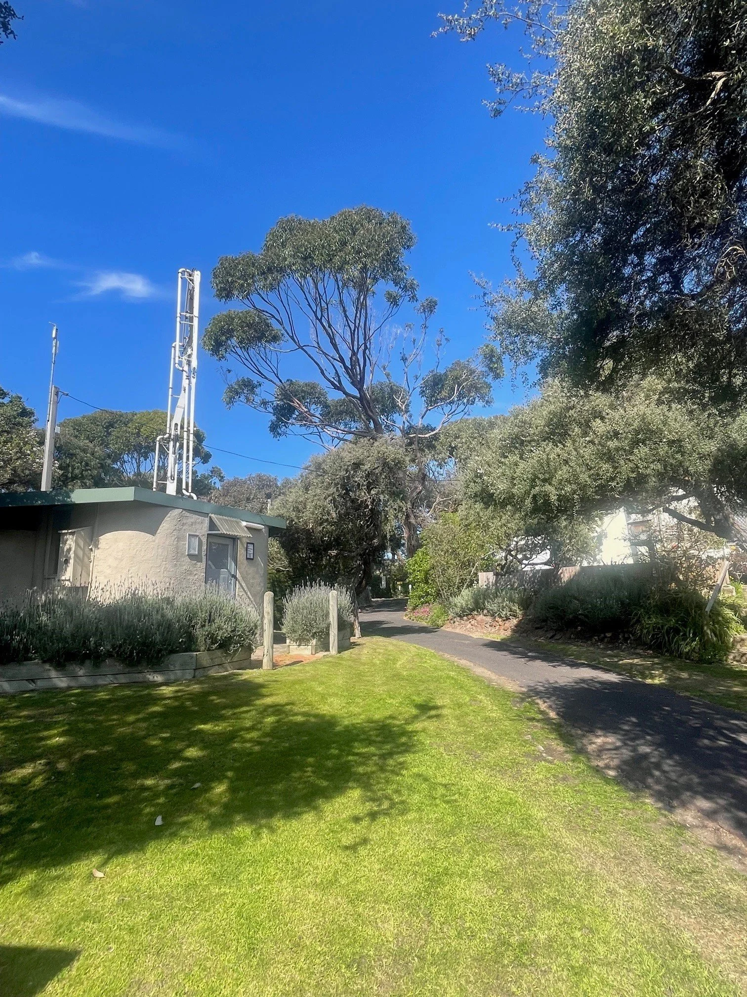 Newsletter Spring.jpg