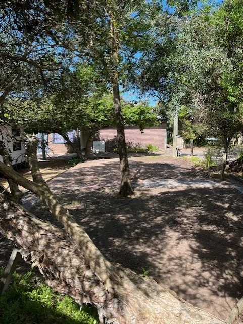 vacant site 4.jpg