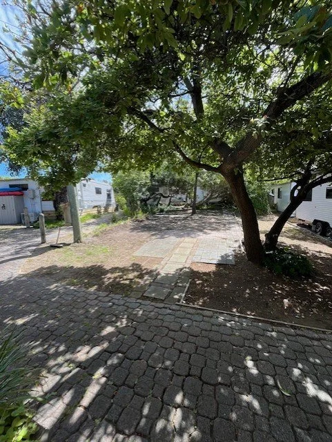 vacant site 6.jpg