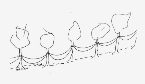 A sketch from JM Design Studio's proposal in Phase 1, depicting a strand of trees connected by hammocks running along the border. 