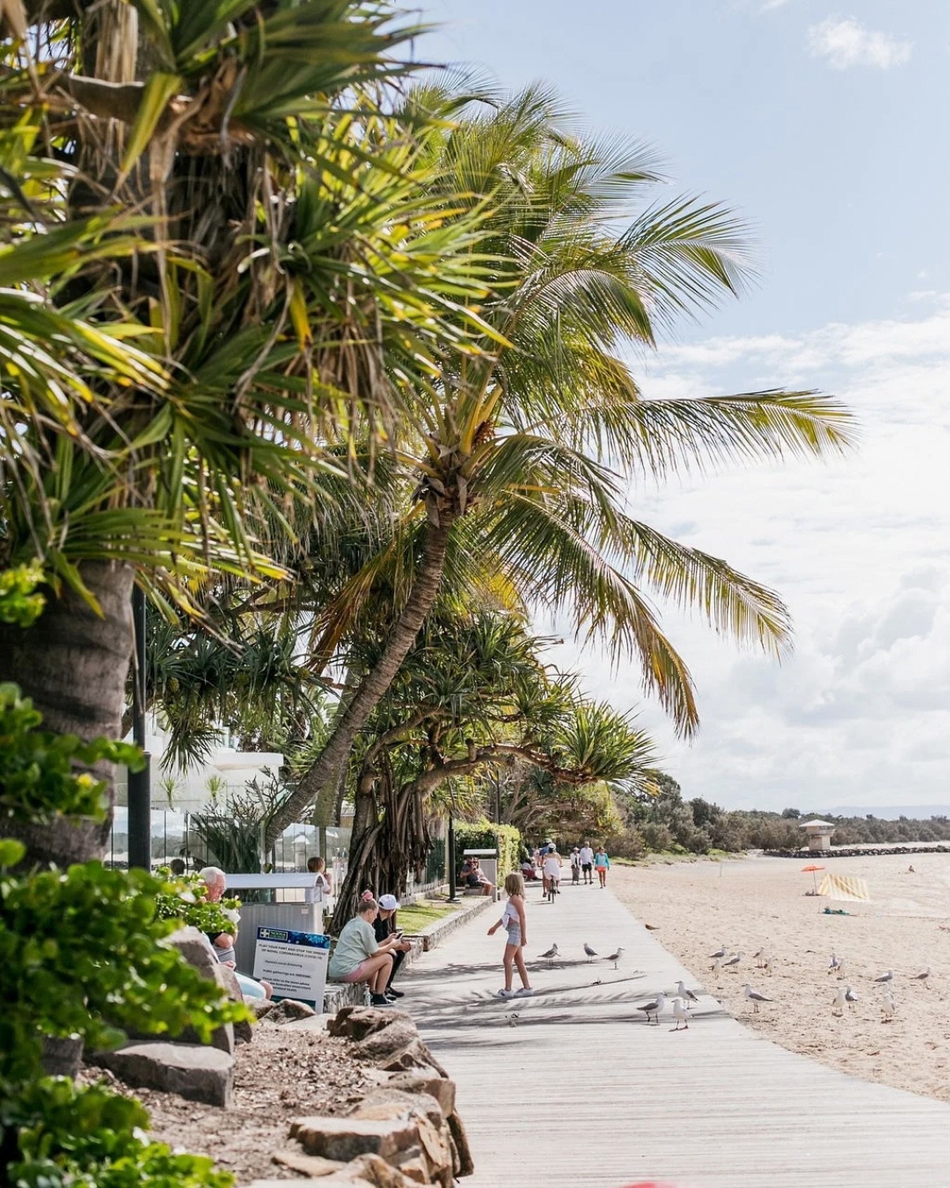 Find us nestled under the shade of the pandanus and palm trees, right on Noosa Main Beach.

Join us and experience a relaxed beachfront dining at its finest, from breakfast to dinner.
~ Bookings via link in our bio.

.
.
.

#beachfrontdining #relaxed