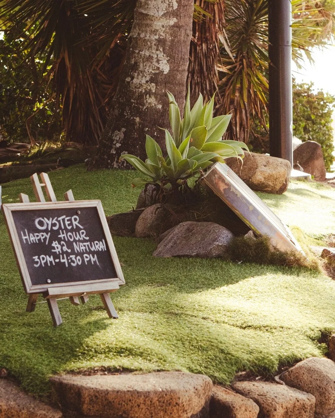 Shuck, sip, repeat 🦪🍸It&rsquo;s oyster happy hour!

Join us everyday from 3pm to 4.30pm at Boardwalk Bistro. Booking recommended, walk-ins welcomed.

.
.
.

#oysterhappyhour #noosa #noosafood #noosaeats #freshoysters