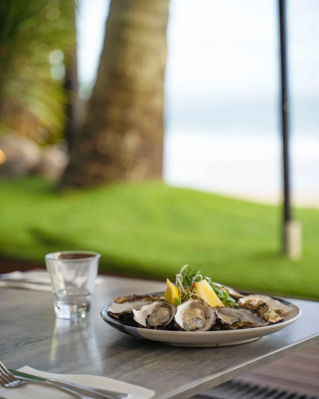 $2 oysters right on Noosa Main Beach? Not a dream.
Just our daily oyster happy hour, 3 to 4.30pm.
Bookings recommended 🦪

.
.
.

#oysterhappyhour #noosa #noosamainbeach #hastingsstreet #visitnoosa