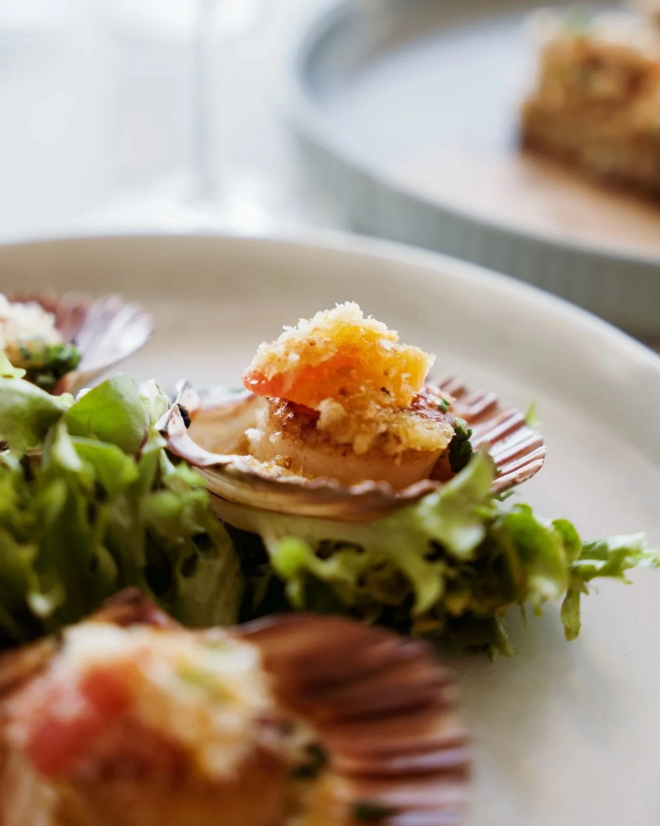 Buttery scallops + citrus salsa = your next obsession 🤩

.
.
.

#searedscallops #seafoodrestaurant #noosa #noosaeats #noosafood