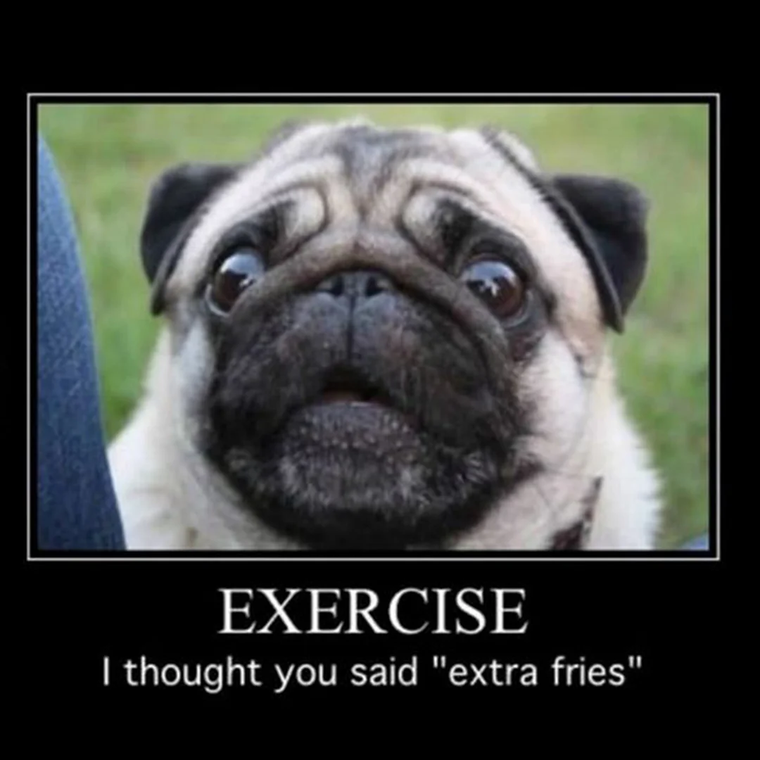 The Art of Listening: A Simple Misunderstanding