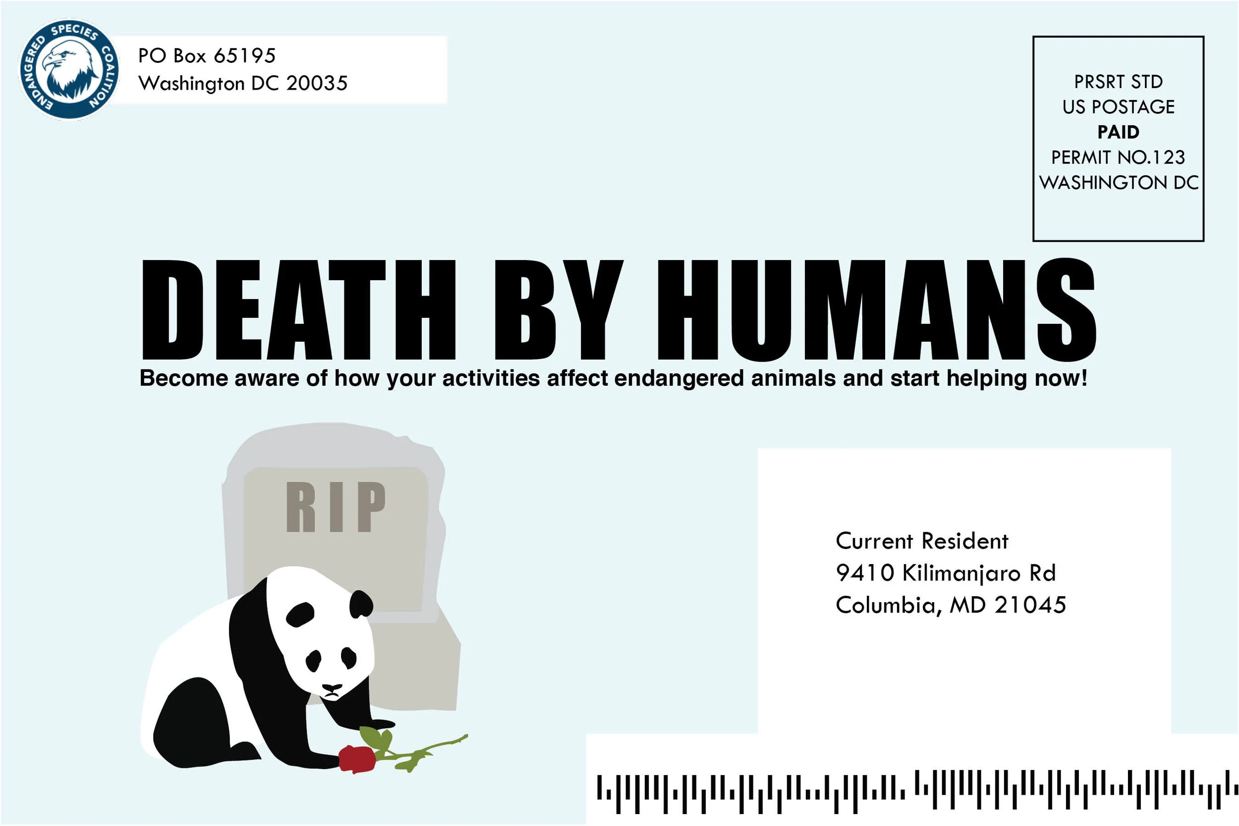 direct mail.jpg