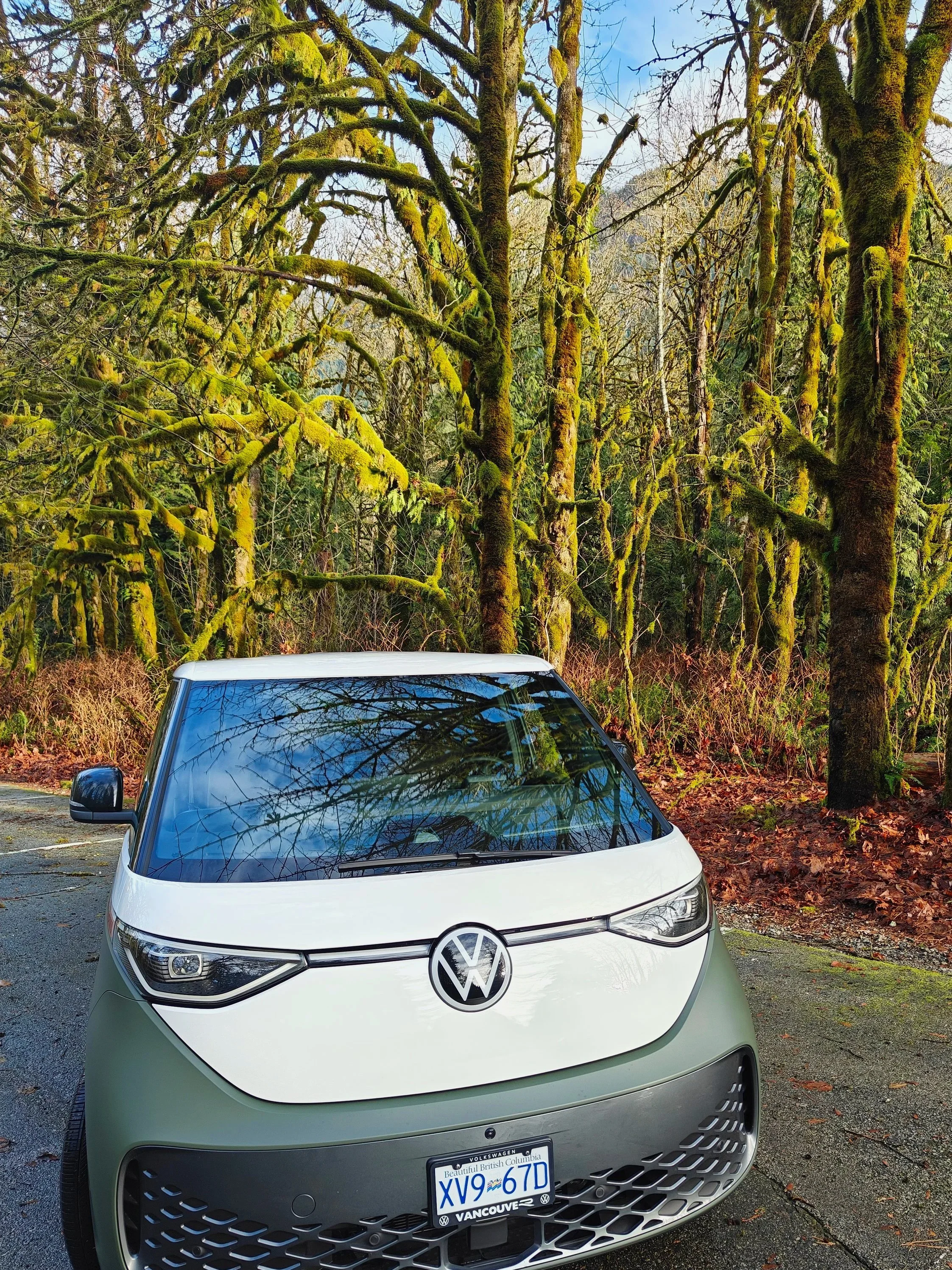 Honest Camper ID.Buzz camper van