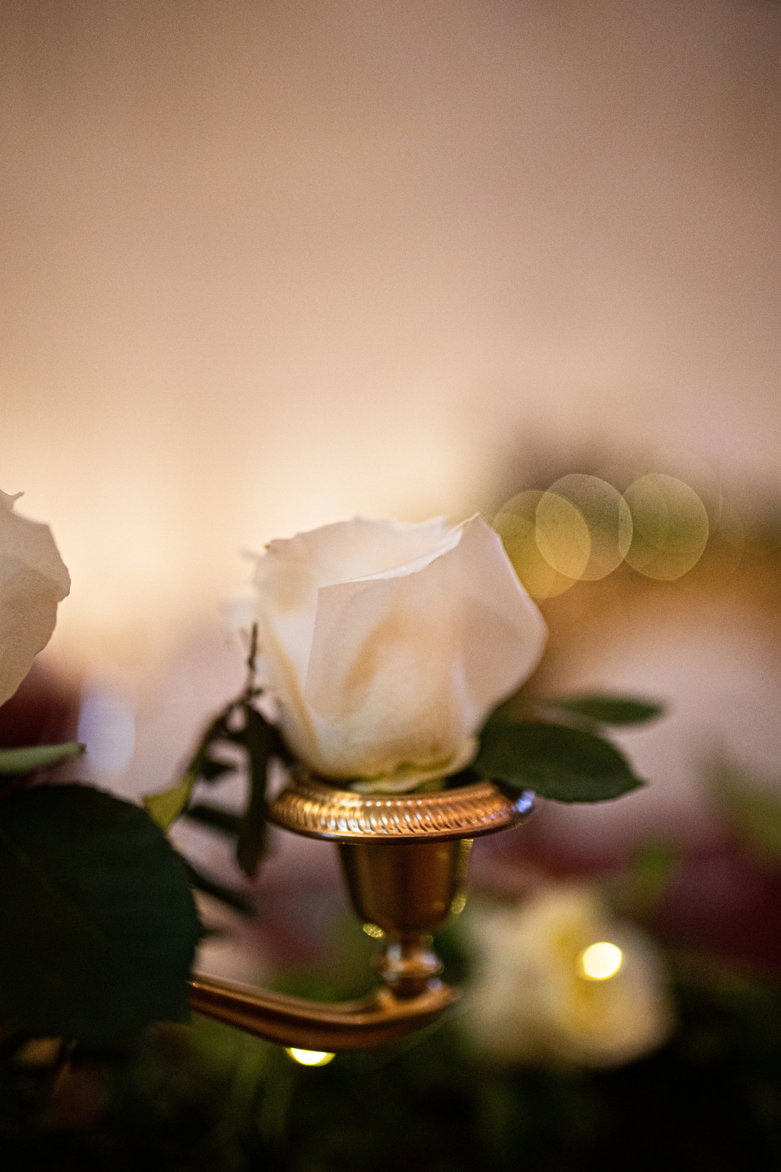 _MG_6054.jpg