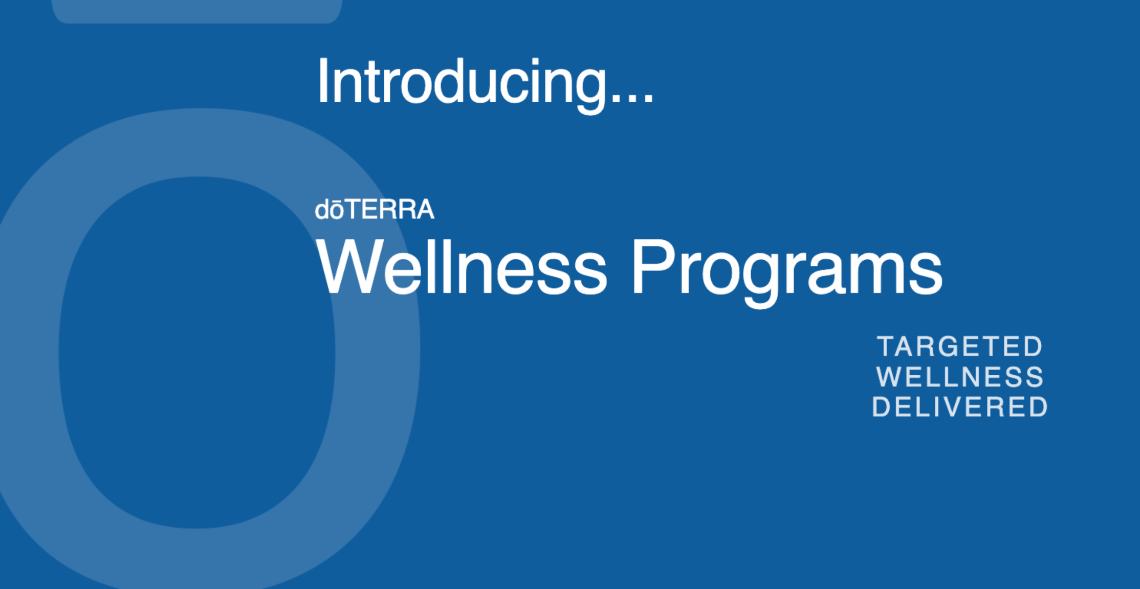 Wellness Programs PDF