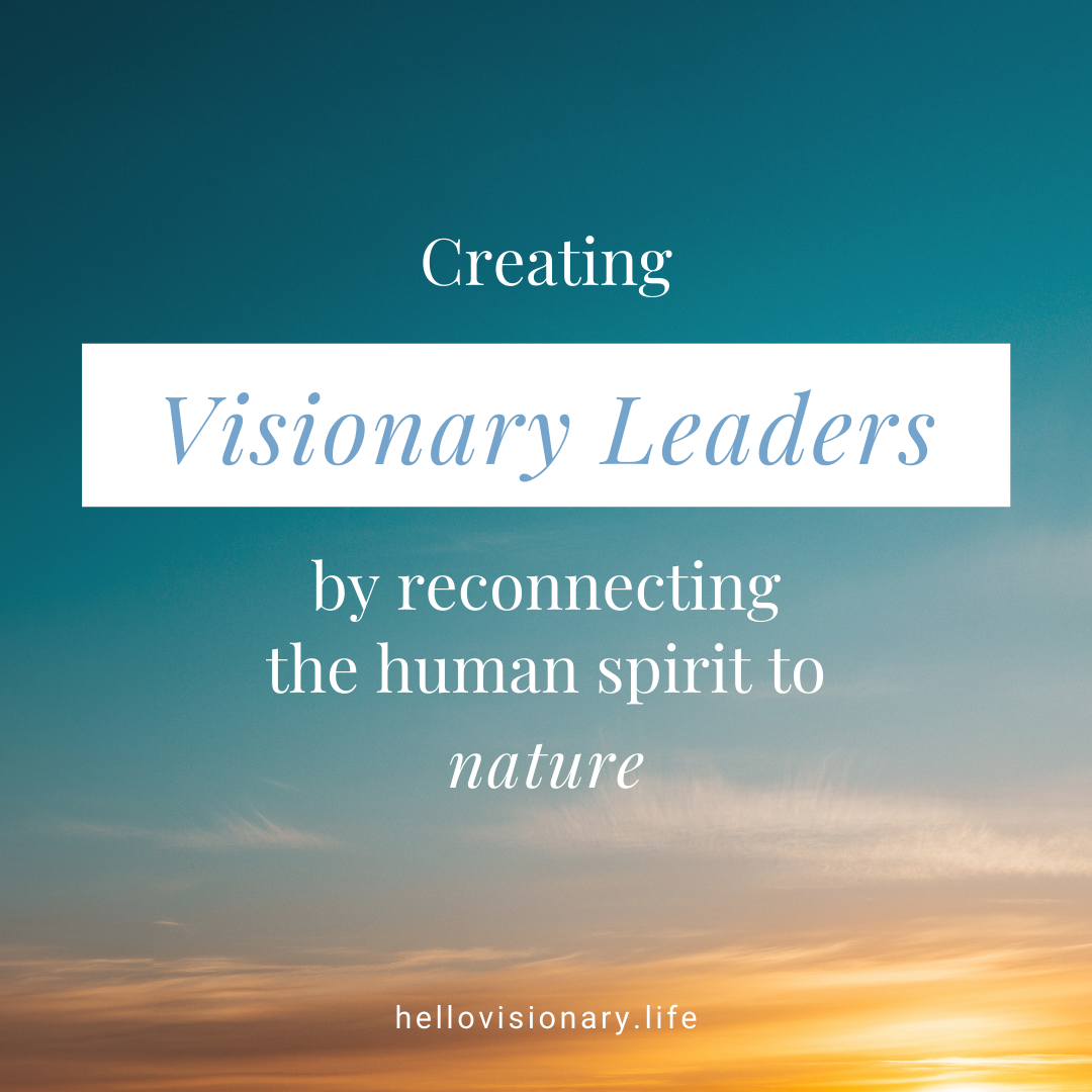 Creating Visionary Leaders
