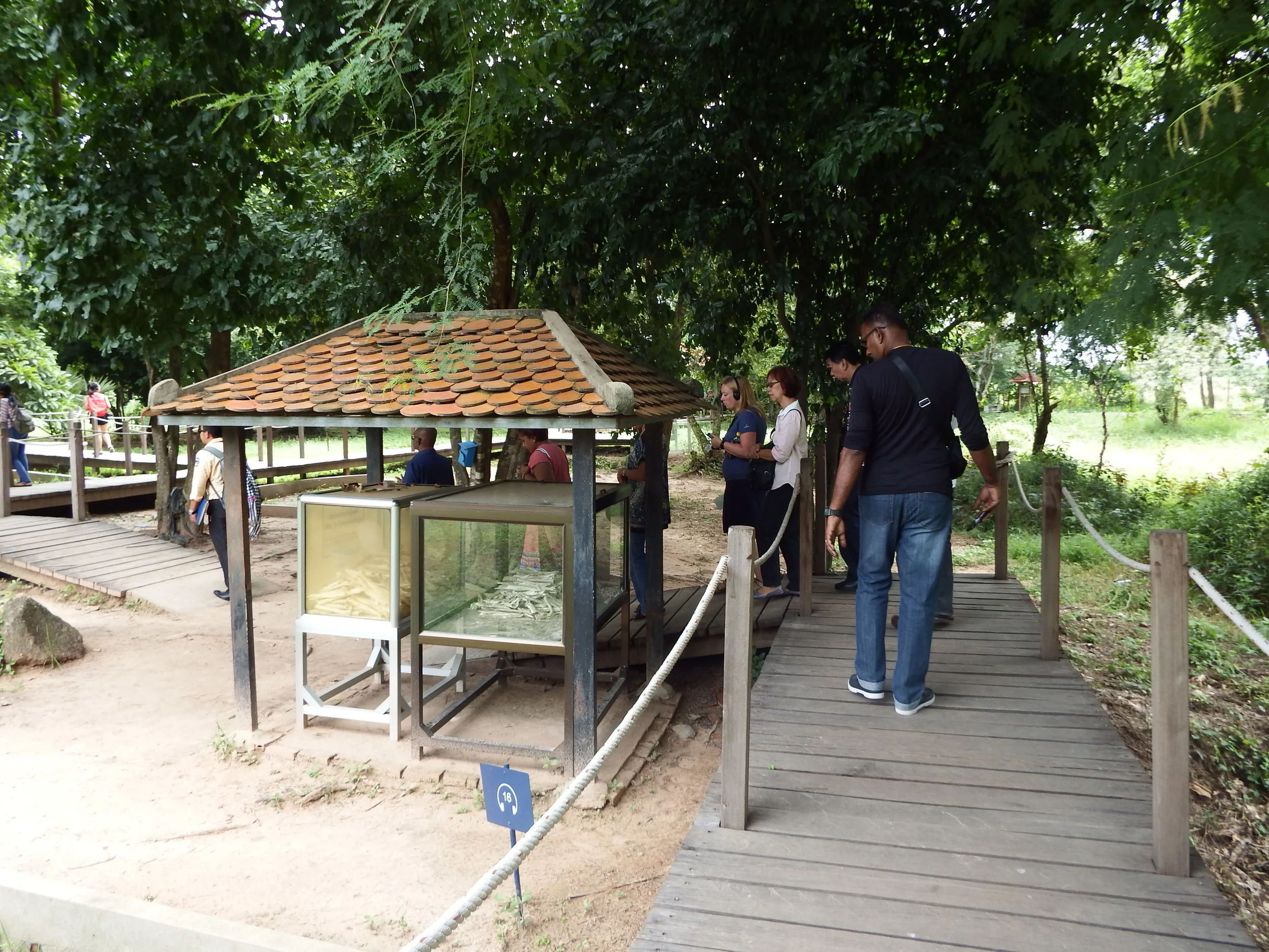 DSCF5278.jpg