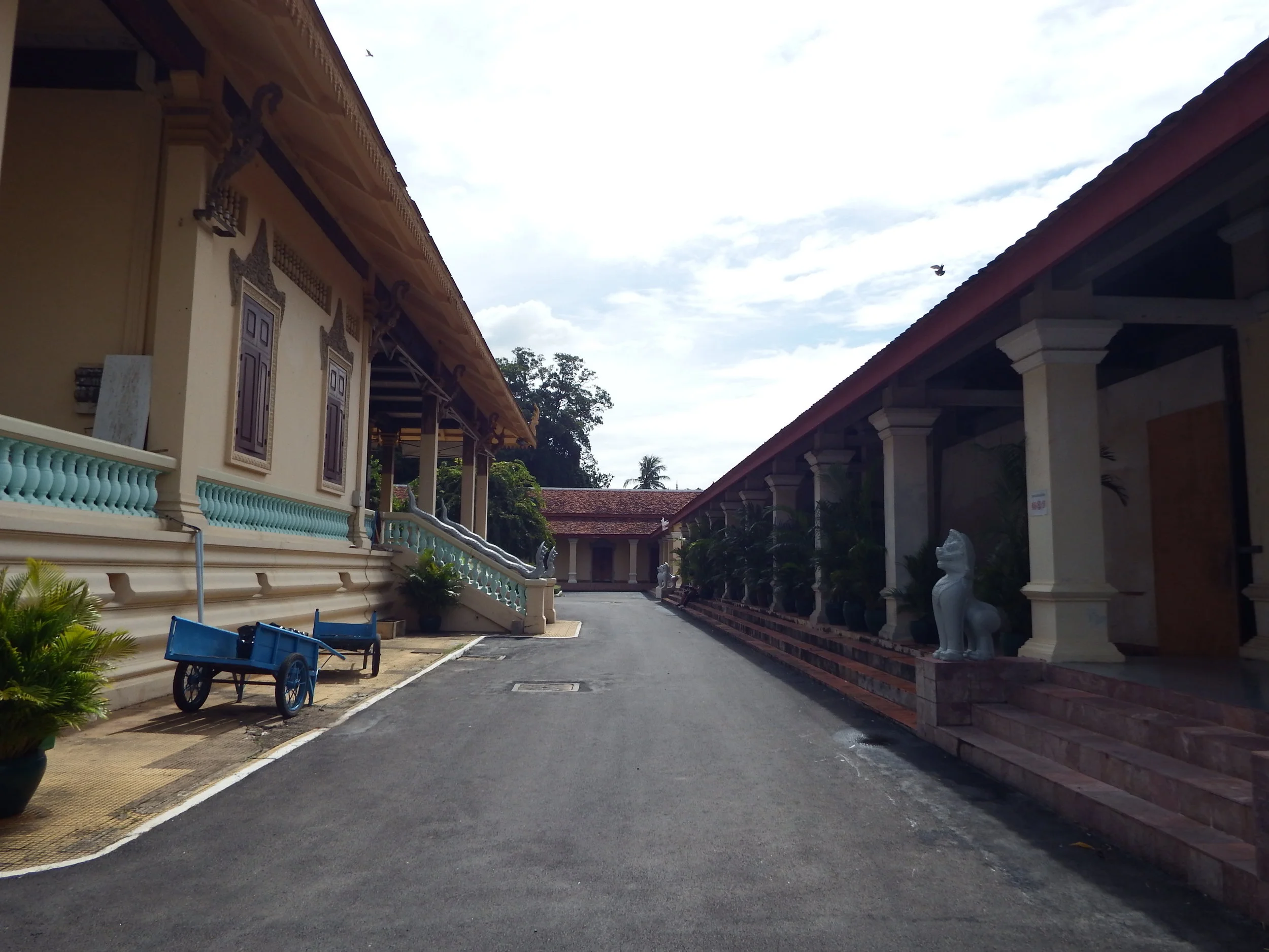 DSCF5228.jpg