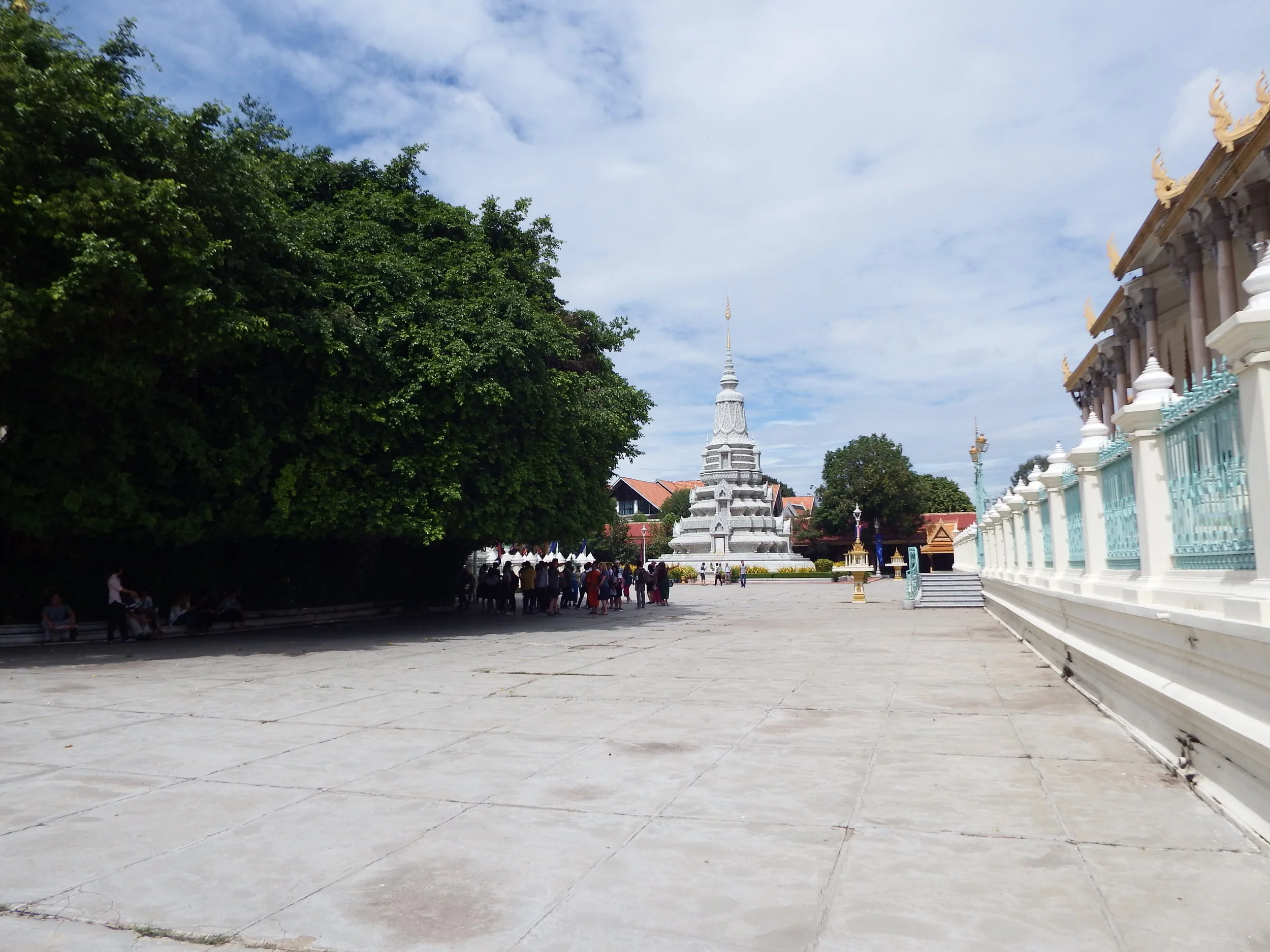 DSCF5239.jpg