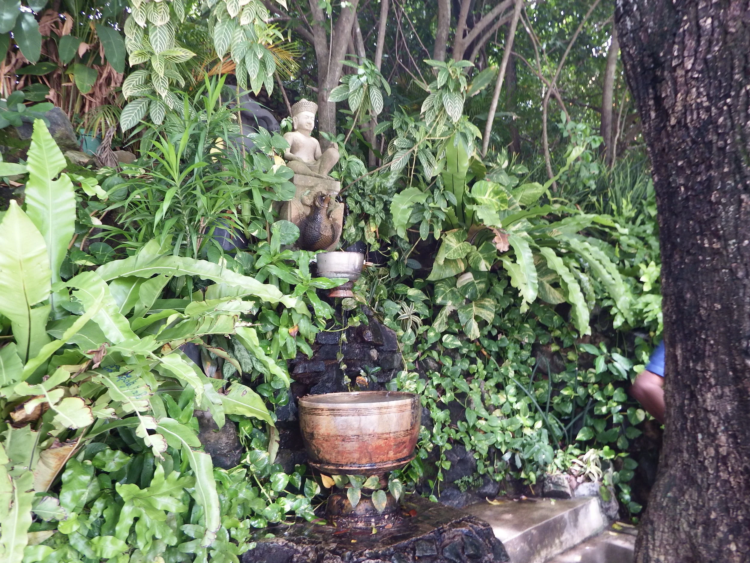 DSCF5245.jpg