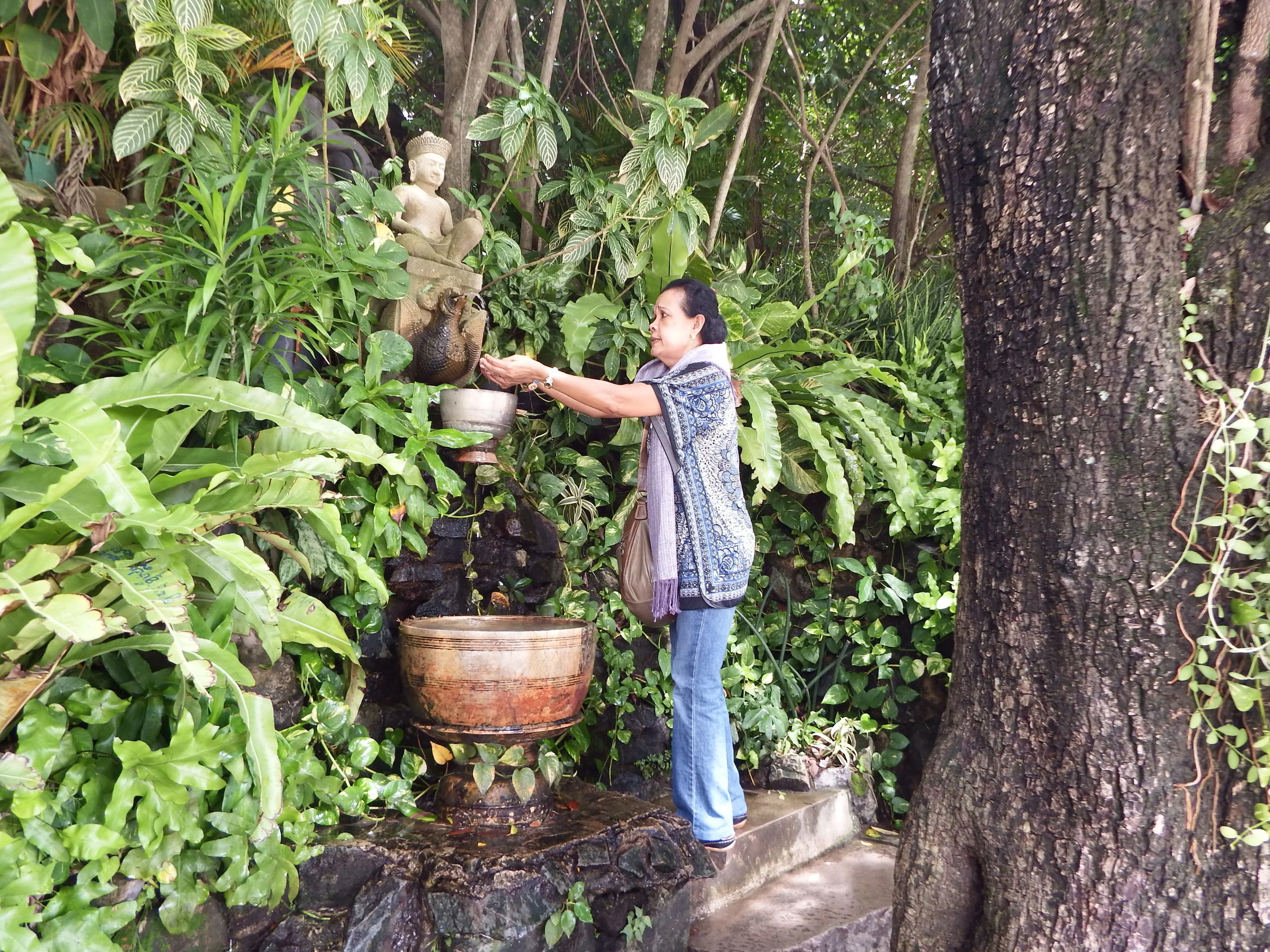 DSCF5246.jpg