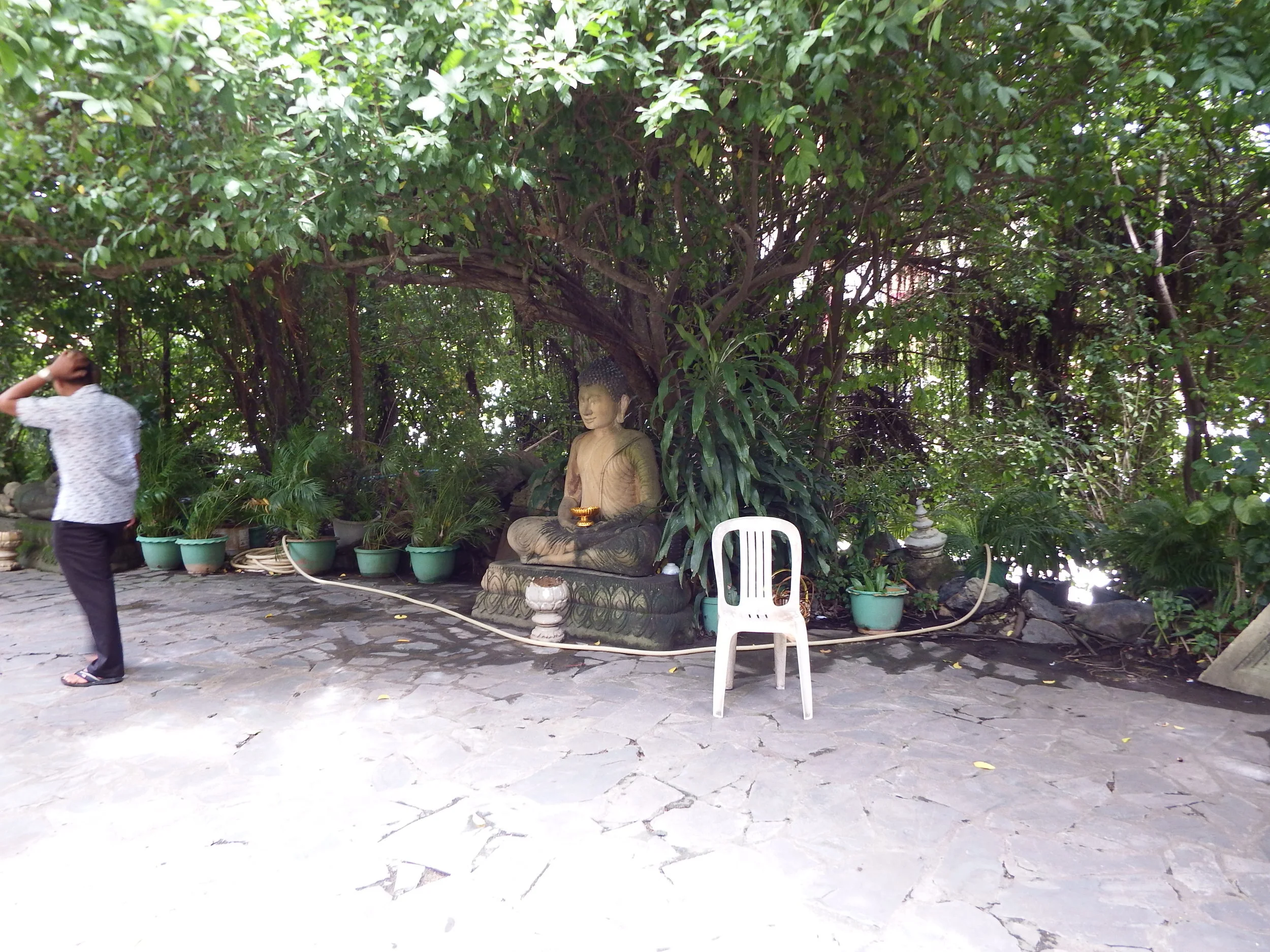 DSCF5254.jpg