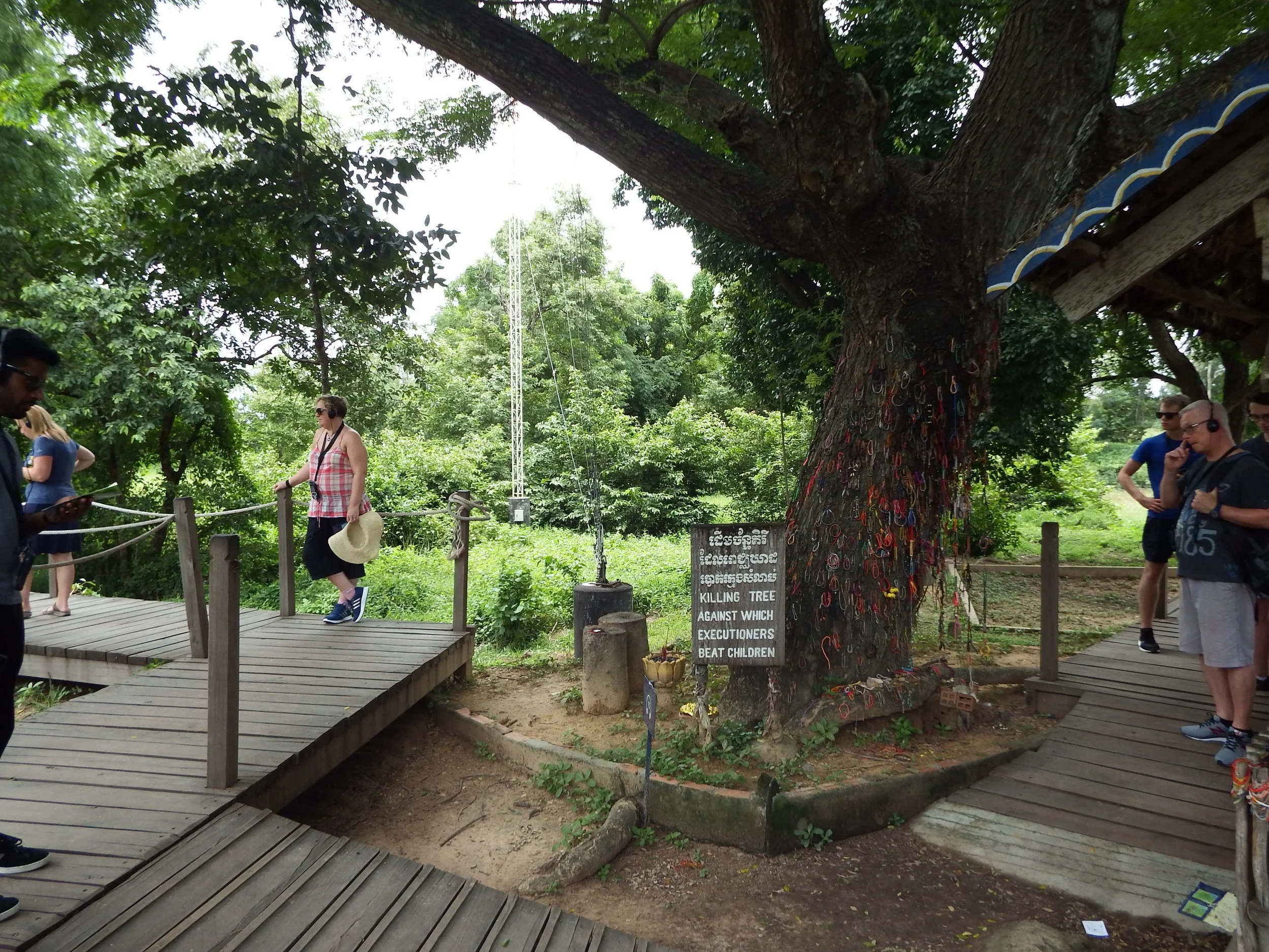 DSCF5274.jpg