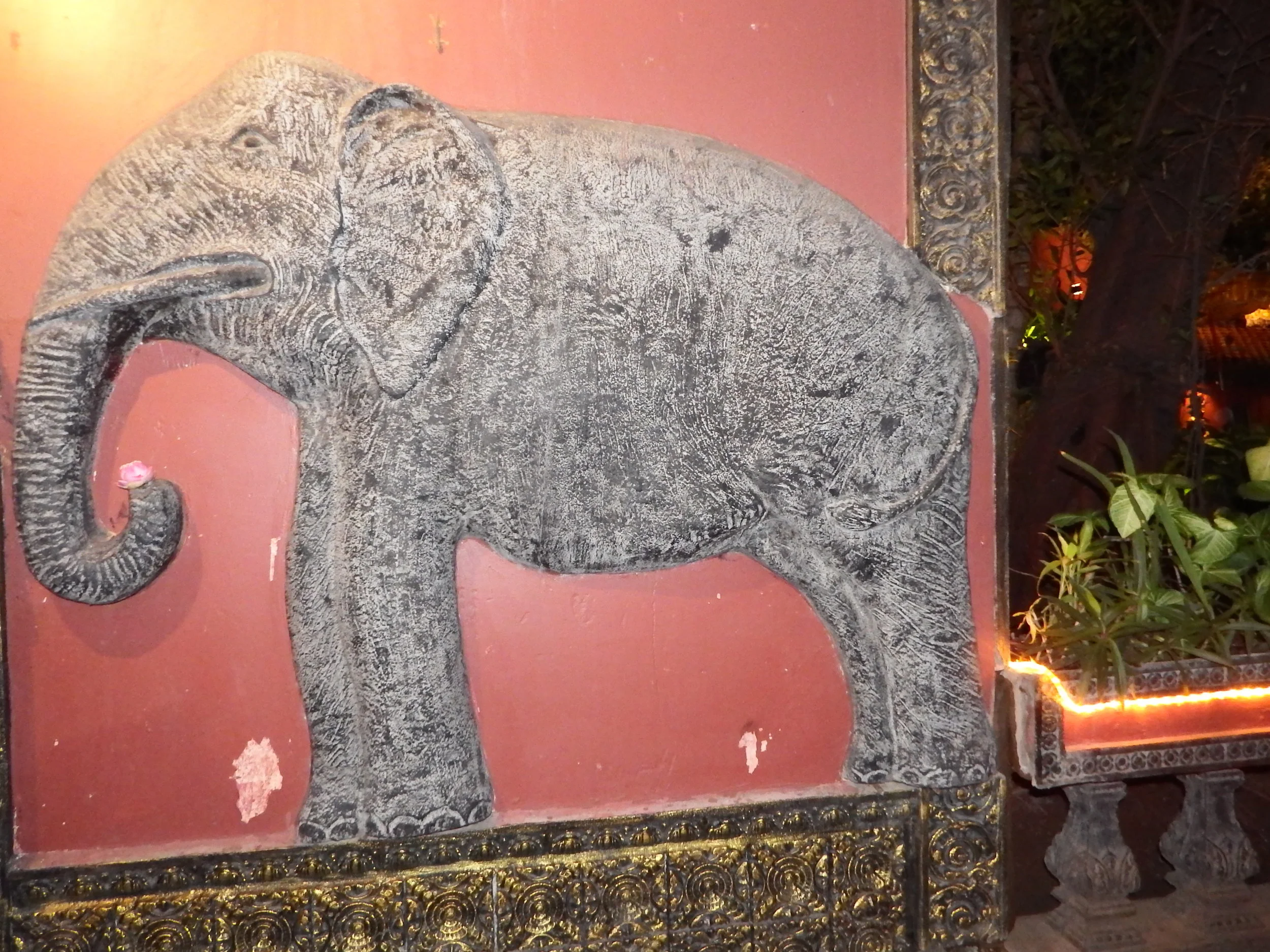 DSCF51661.jpg