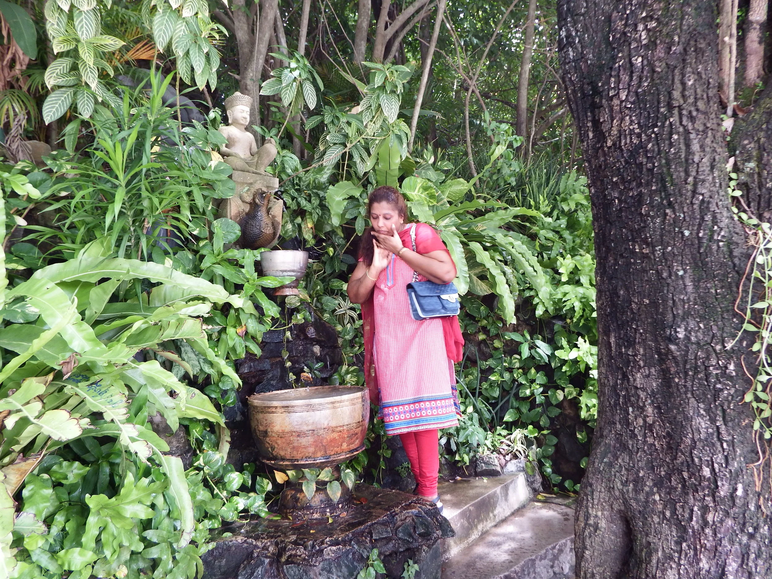 DSCF52492.jpg